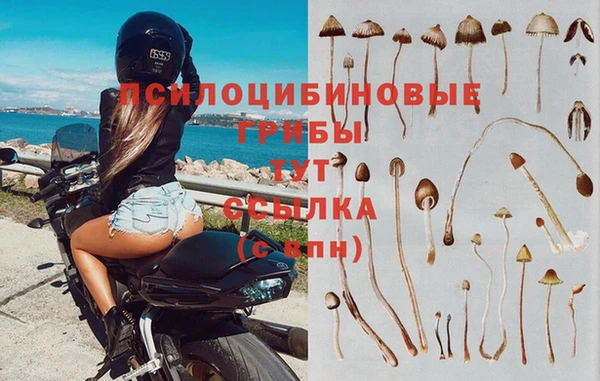 винт Бикин