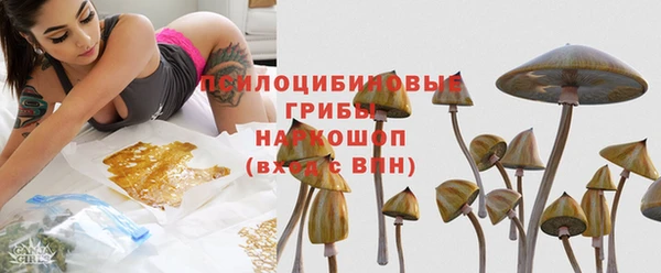 молекула духа Михайловка