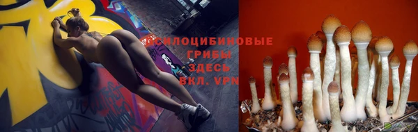бутират Михайловск