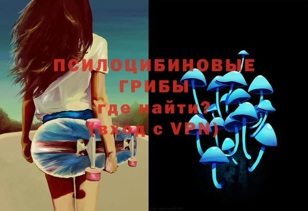 ECSTASY Сосновоборск