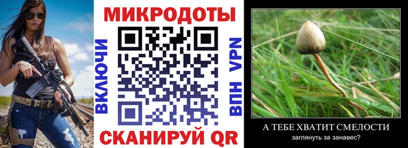 OMG сайт Сысерть Псилоцибиновые грибы Psilocybine cubensis